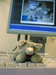 Mr. Ganesh beim Blogschauen :)