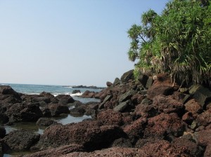 Goa