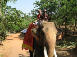 Ela hoch zu Elefant