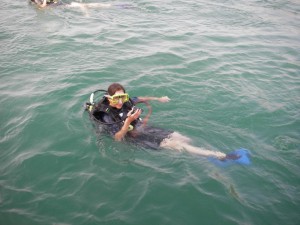 Ein Elafisch im Wasser