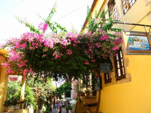 Chania Altstadt (man beachte das Schild rechts) Chania Altstadt (man beachte das Schild rechts)