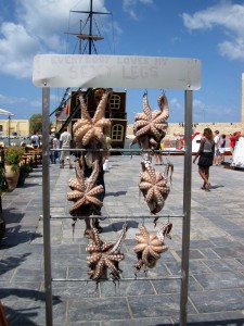 Kraken am Haken Kraken am Haken
