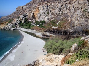 Strand mit schwarzen Palmen Strand mit schwarzen Palmen