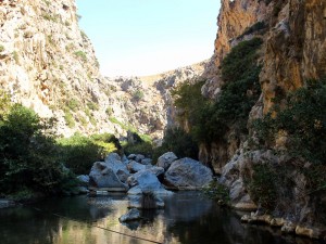 Fluss mit Katarakt Fluss mit Katarakt